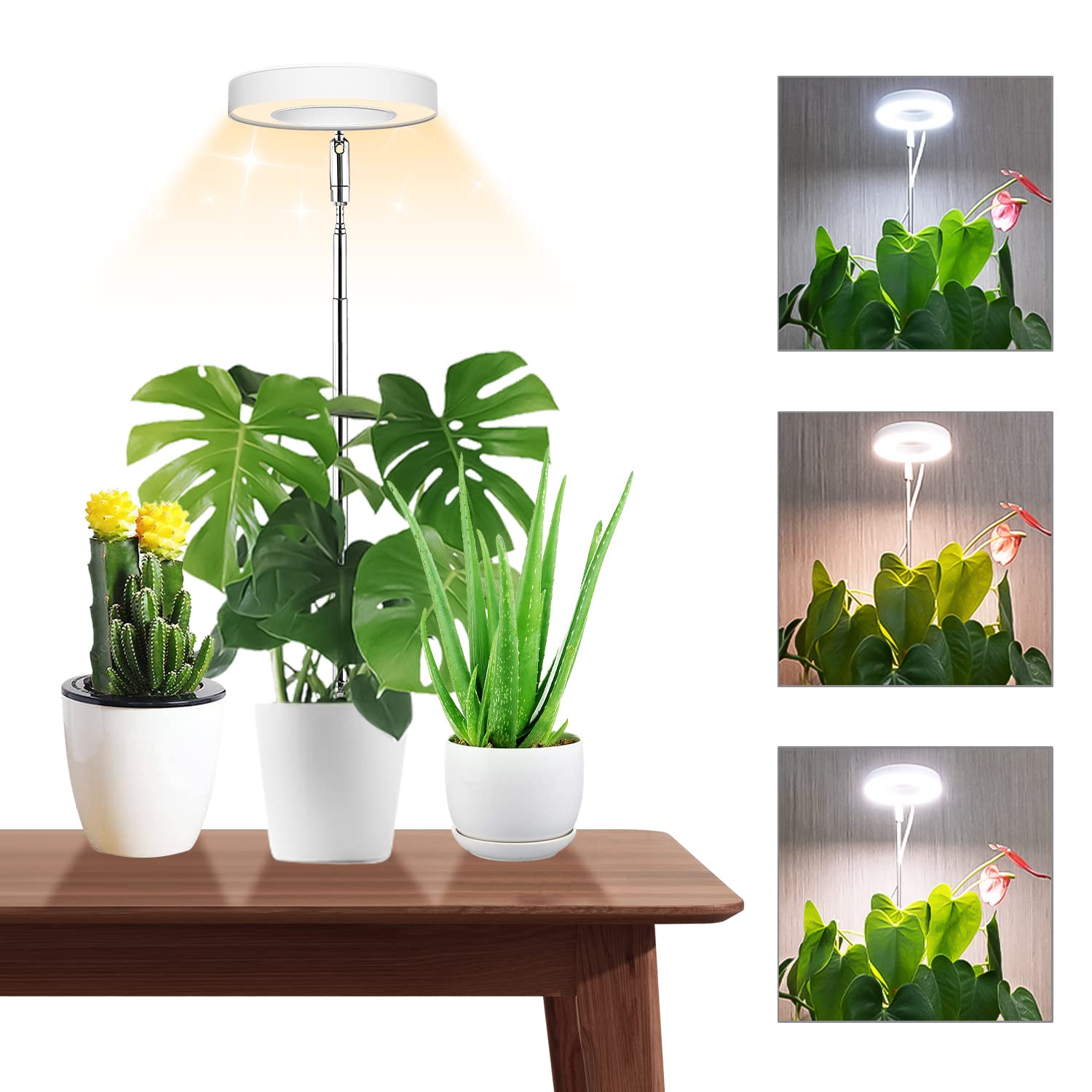 Wiaxulay 3.5in Grow Lights for Indoor Plants,Full Spectrum Halo Plant Light | 48