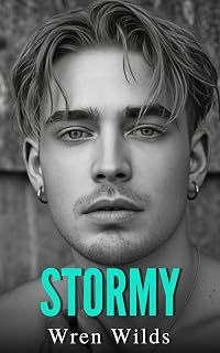 Stormy: An M/M Romance (The Florida Panhandle Series Book 1)