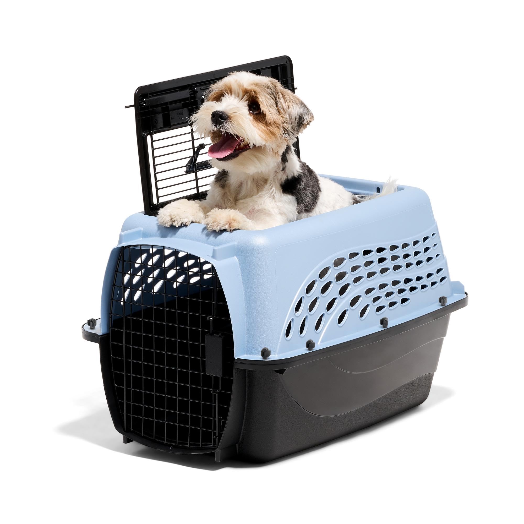 Petmate Two Door Plastic Pet Kennel for Small Dogs and Cats, 24in, Blue | Top an