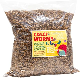 Dried Calciworms for garden birds, Calci worms for wild birds (5L refill bag - 800g) Bird food