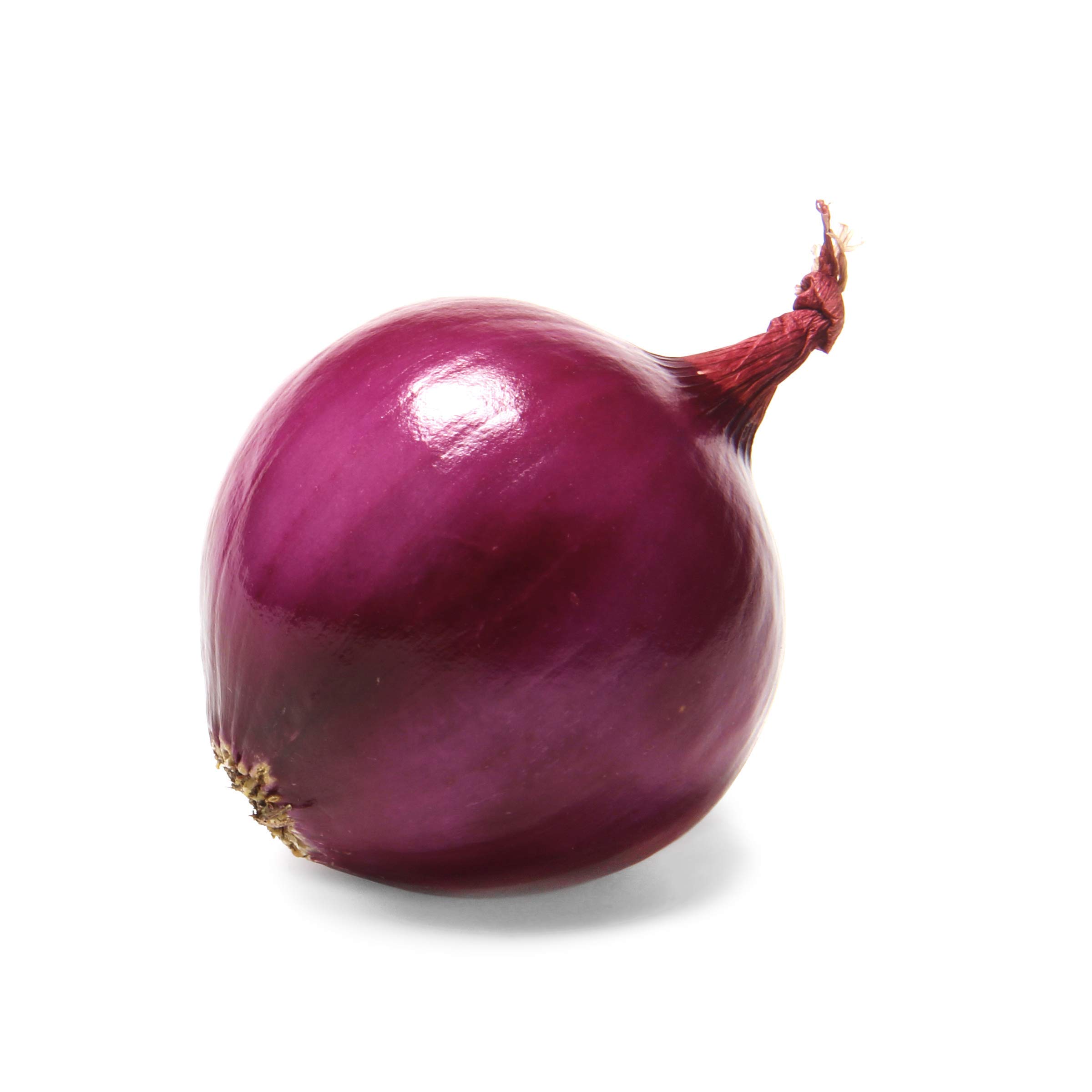 Red Onion, 1 Each