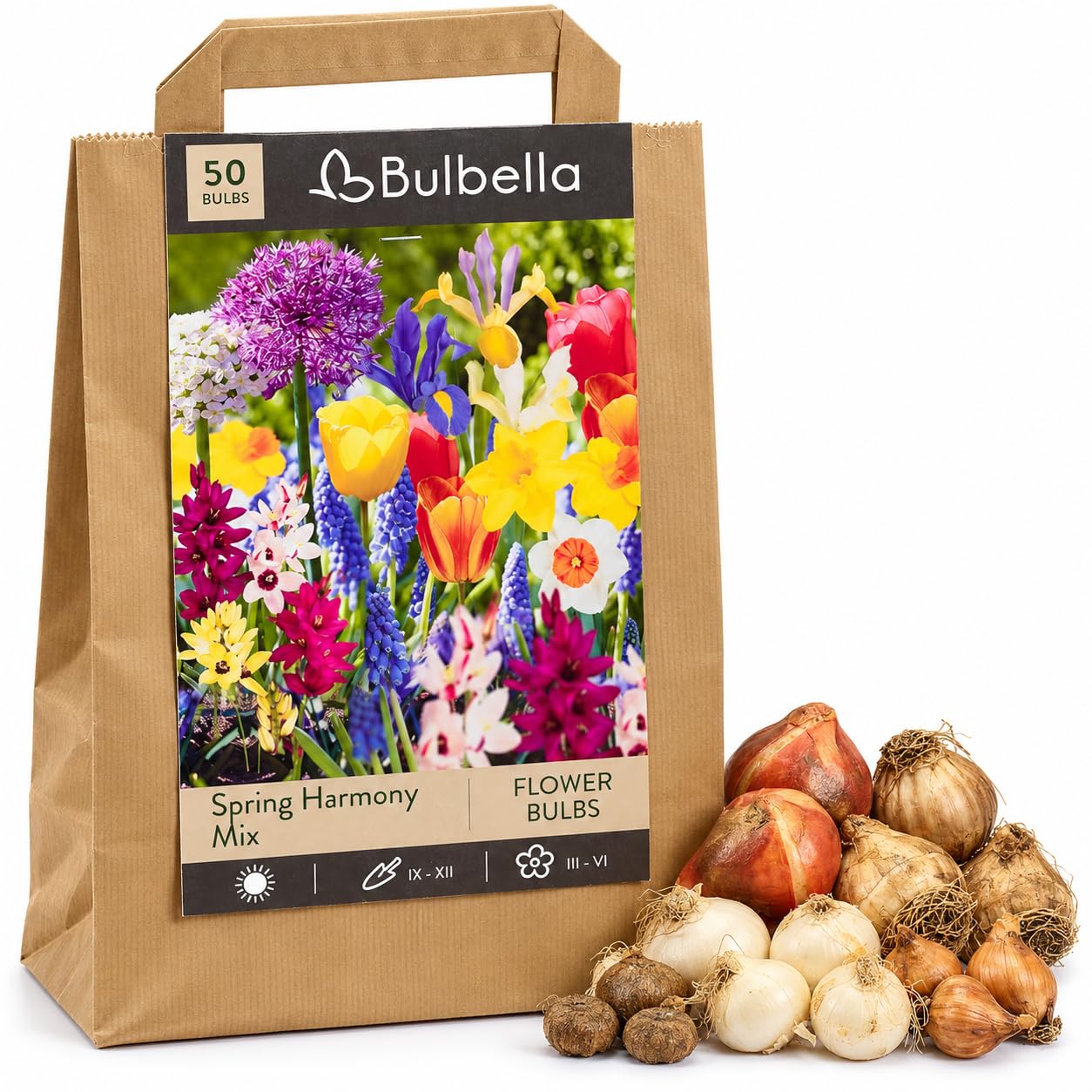 Spring Bulbs for Planting Now UK, 50 Mixed Spring Flowering Bulbs, Bulbella