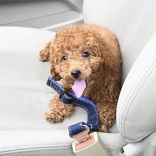 Reflective Dog Harness with Adjustable Leash, Comfortable for Outdoor Walking and Hiking, No Pull Design for Safety