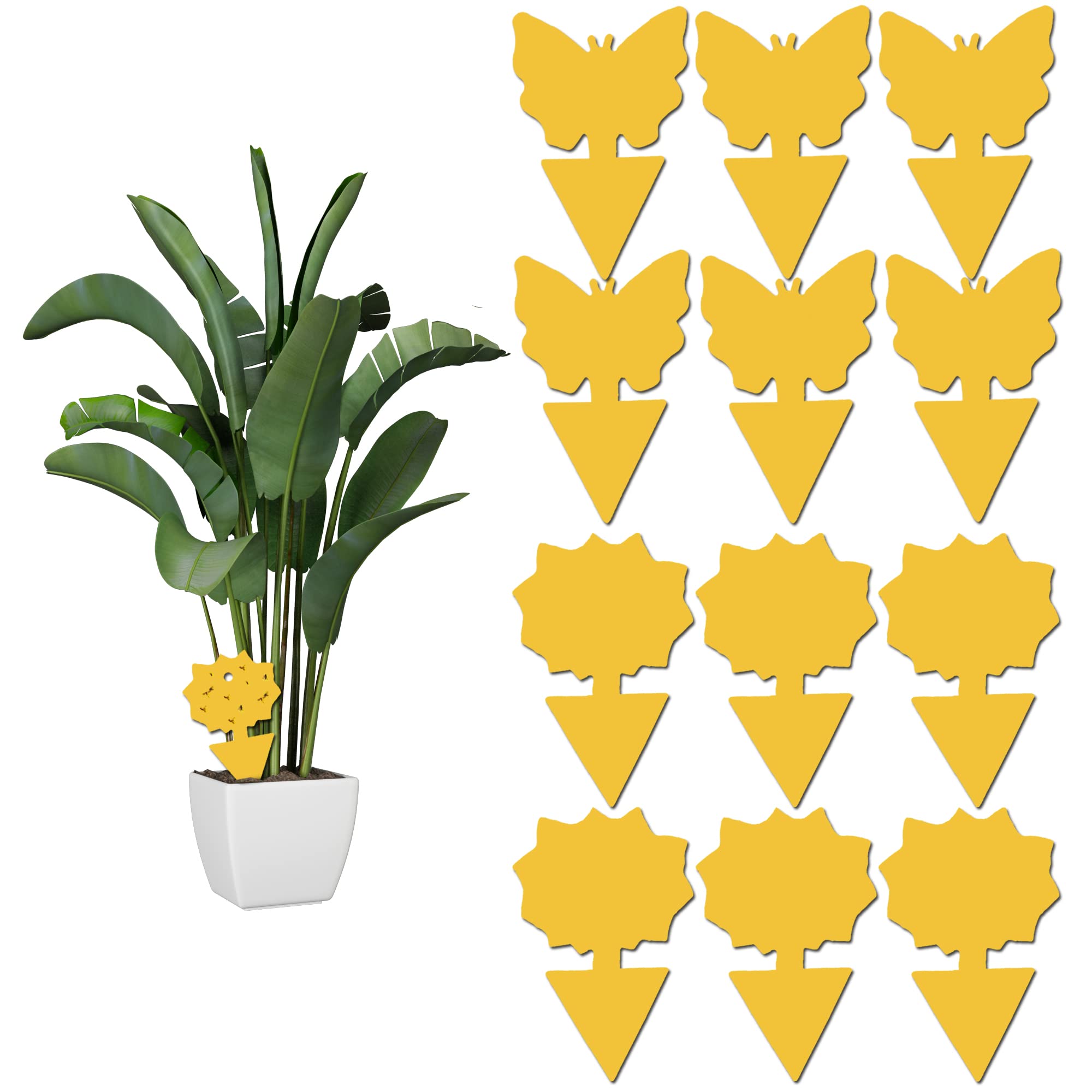 12 pack Sticky Fruit Fly and Fungus Gnat Trap Yellow Sticky Fly Traps Insect Kil