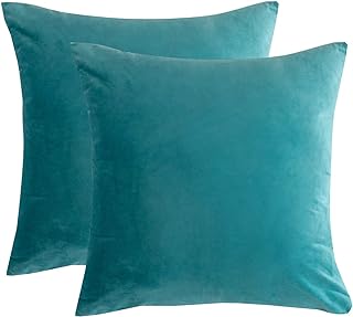 RainRoad Velvet Light Teal Throw Pillow Covers18x18 Inch,Set of 2