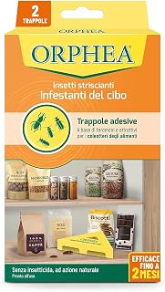 Orphea - Food Moth Repellent, Eliminates Food Beetles and Prevents Their Development, Without Insecticide, Odourless Natural Action, 2 Adhesive Traps