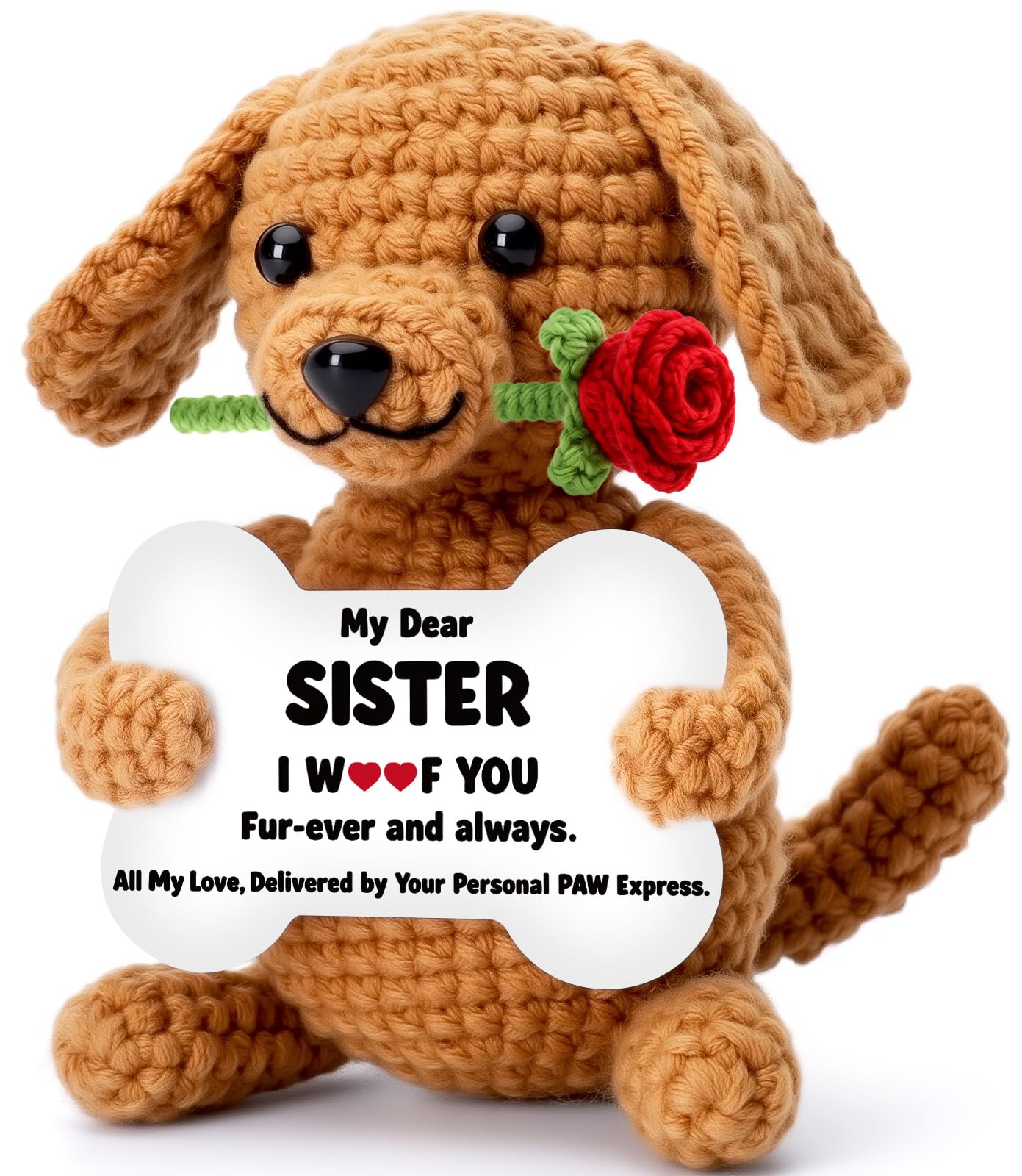 Wilbrea Funny Dog Mothers Day Sister Gifts Birthday, Little Big Soul Sister in L