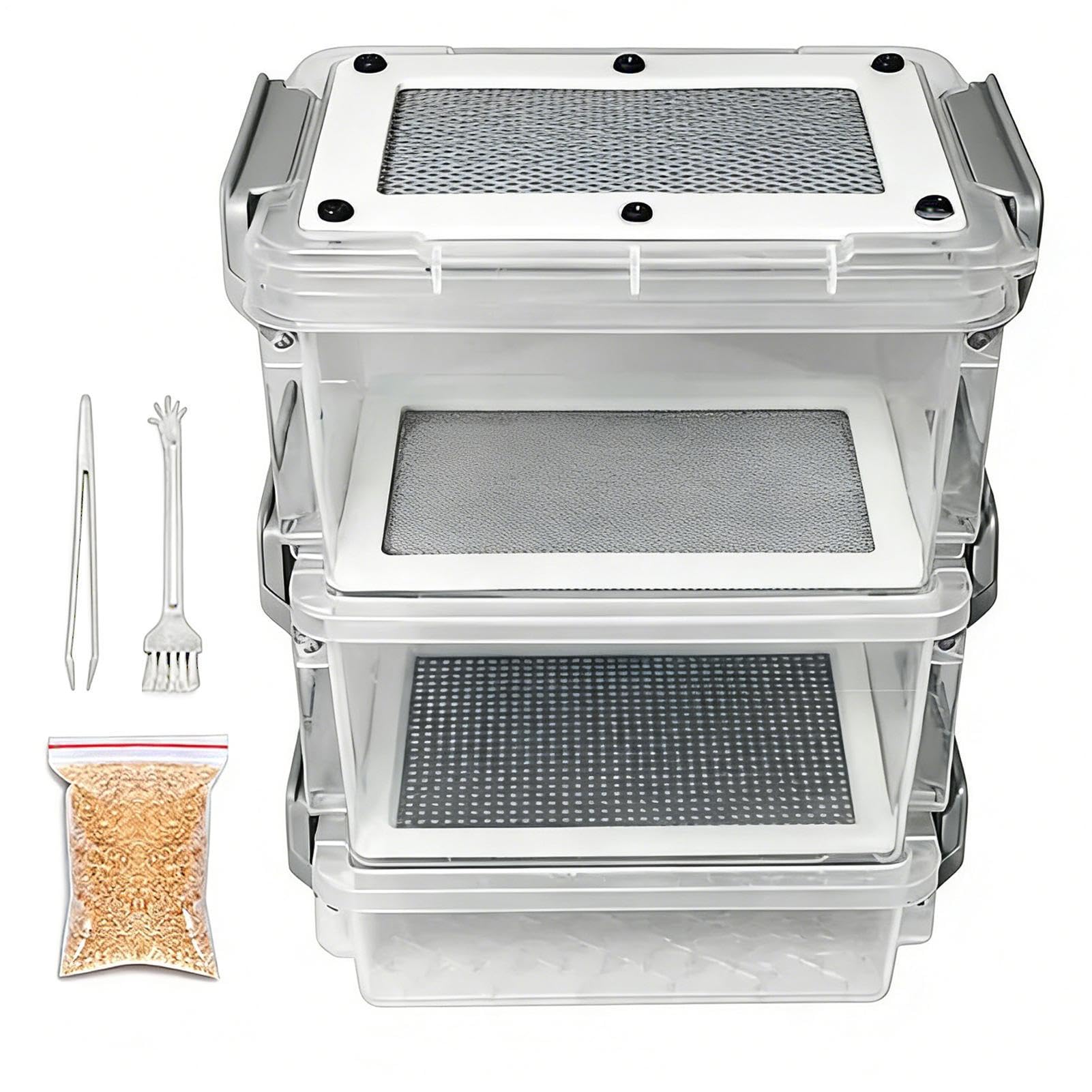 Live Mealworm Breeding Kit Clear Mealworm Feeding | Silkworm Feeding Container f