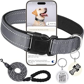 Reflective Dog Collar with Adjustable Buckle Dog Safety Nylon Grey Small 5' Leash and C30 Smart QR Code Anti-lost Pet ID Tag