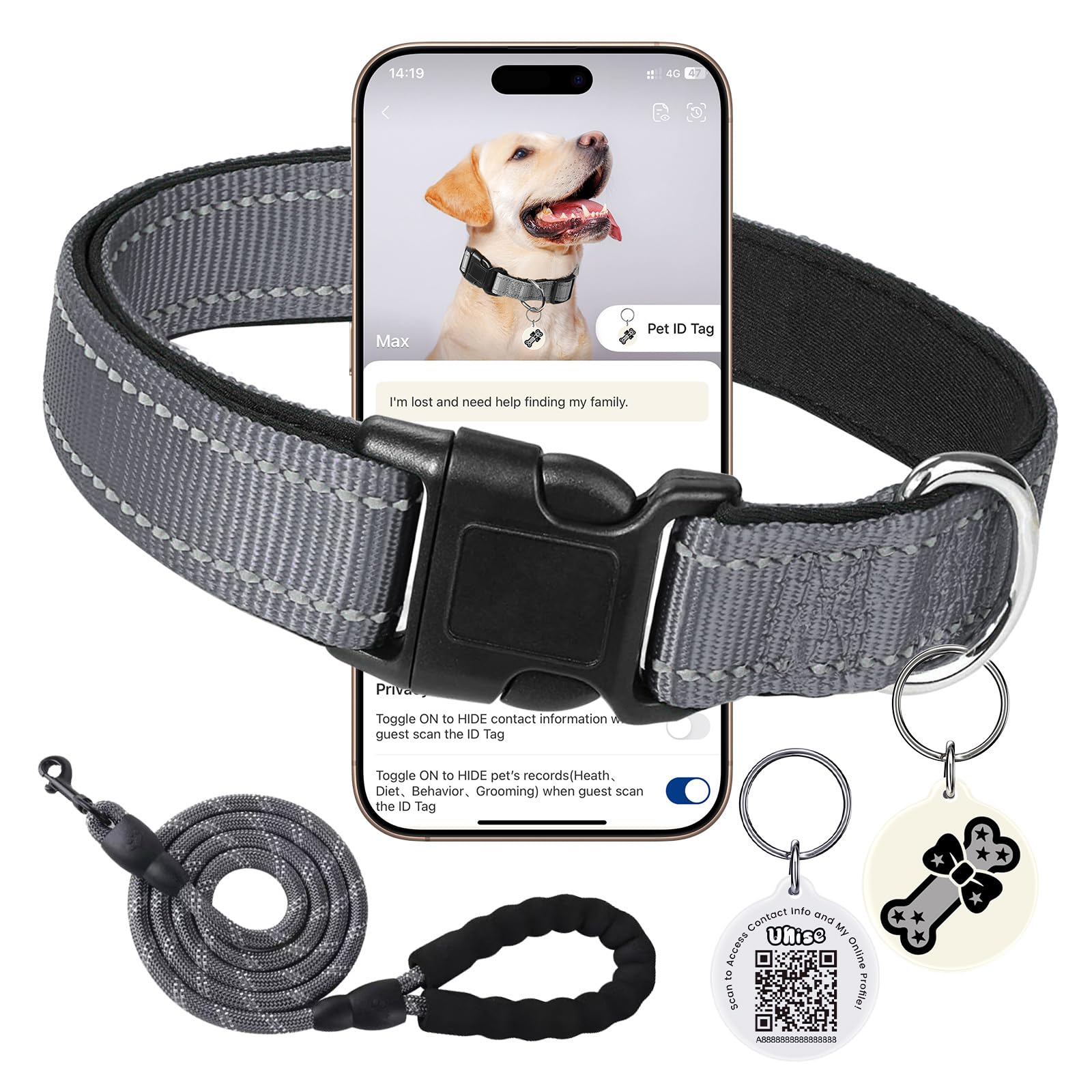 Reflective Dog Collar with Adjustable Buckle Dog Safety Nylon Grey Small 5' Leas