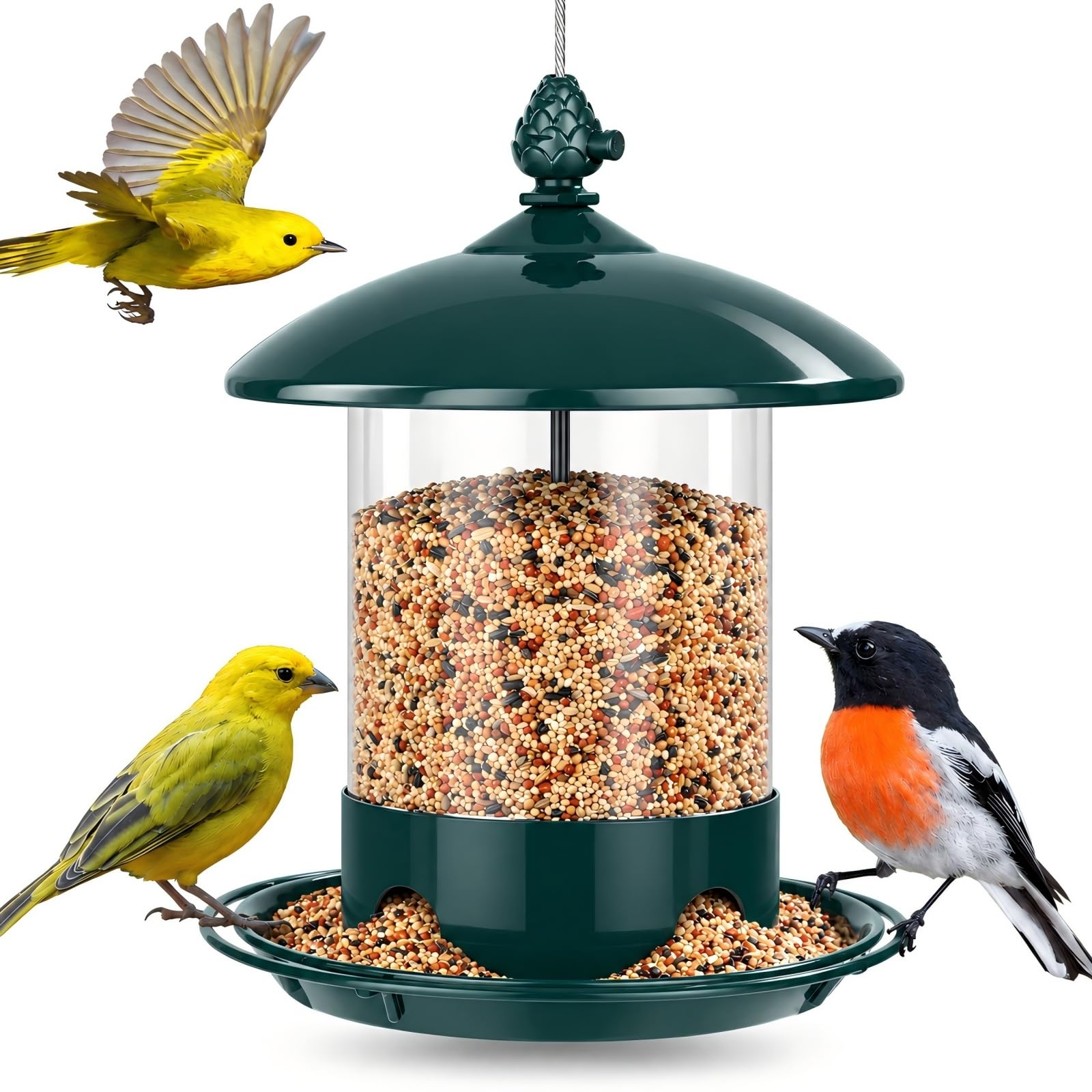 Gbekery Metal Bird Feeders for Outdoors Hanging, 360° Feeding Tray, Green | Chew
