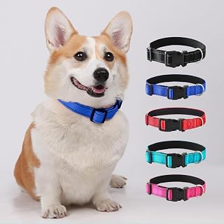 Reflective Nylon Dog Collar with Buckle, Adjustable Soft Neoprene Padded Collar with Metal D Ring for Small Medium Large Dogs (Hot Pink, M)
