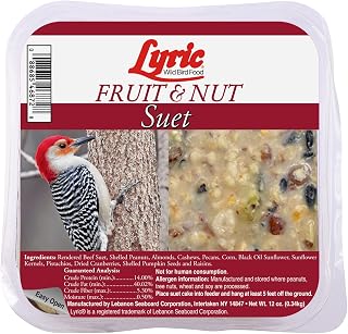 Lyric Fruit & Nut Wild Bird Seed Suet Cakes, 12 oz. (12 Pack) | All natural suet, outdoor bird food made with nuts and fruit; attracts backyard songbirds, high energy food source