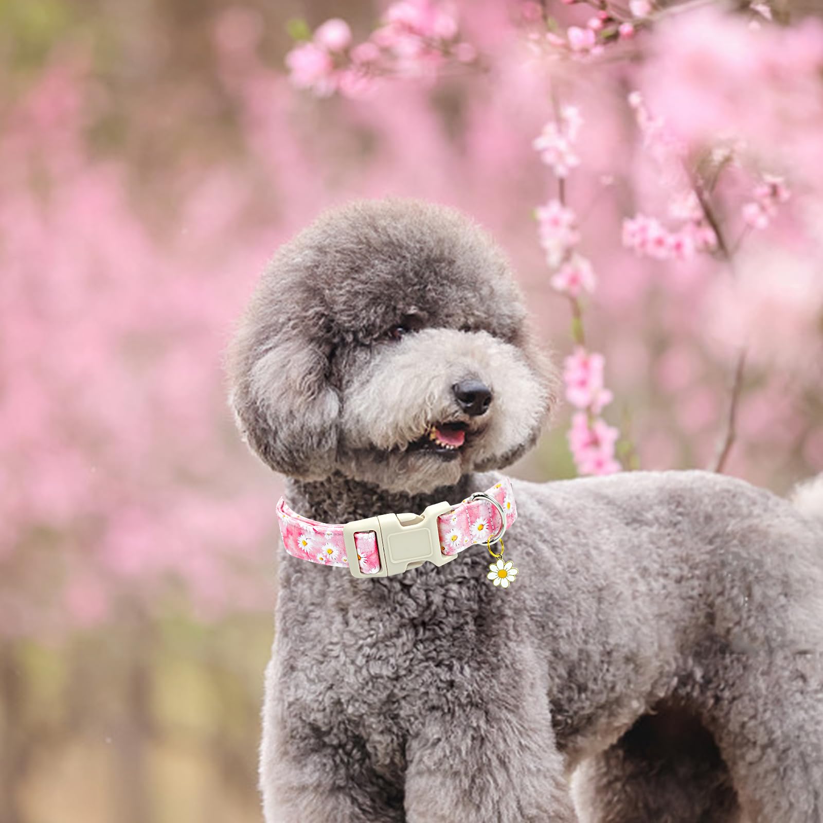Dog Collar-Pink Floral Pattern Dog Collar Cute Flower Dog Collars Female Heavy D