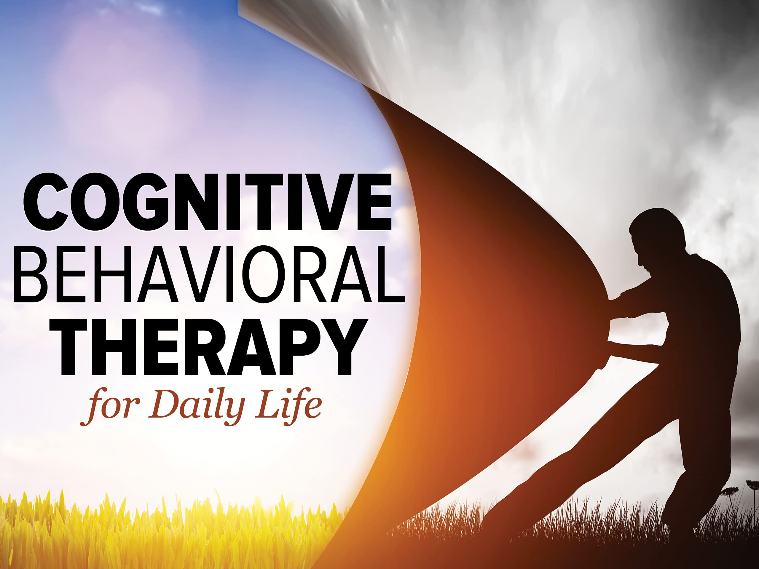 Cognitive Behavioral Therapy for Daily Life