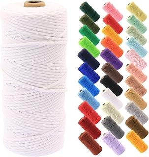 Macrame Rope 1/8 inch x 100 Yards Braided Knots Rope Roll for DIY Projects Hanging Plants Wall Decor (Pure White)