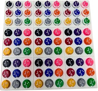 Braille and Tactile Sudoku Game/Puzzle for The Blind and Sighted Adults, Teens, and Children - by Blind in Mind, The Braille Superstore
