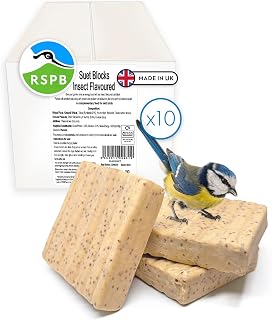 RSPB - Suet Blocks for Wild Birds, Fat Blocks with Premium Ingredients, Made in the UK, Healthy and Nutritious, Suitable for Year-Round Feeding (Insect Flavour) (10 x 280g)