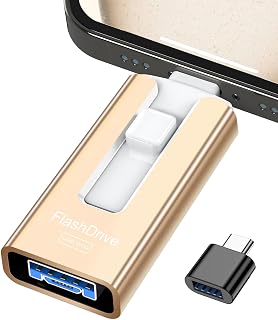 GNASEET 4-in-1 USB Stick 256GB, Photo Backup Flash Drive USB 3.0, Gold