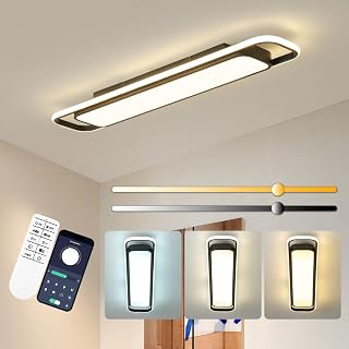 ORANOOR Modern LED Ceiling Light with Remote, 1m Flush Mount Light Fixtures