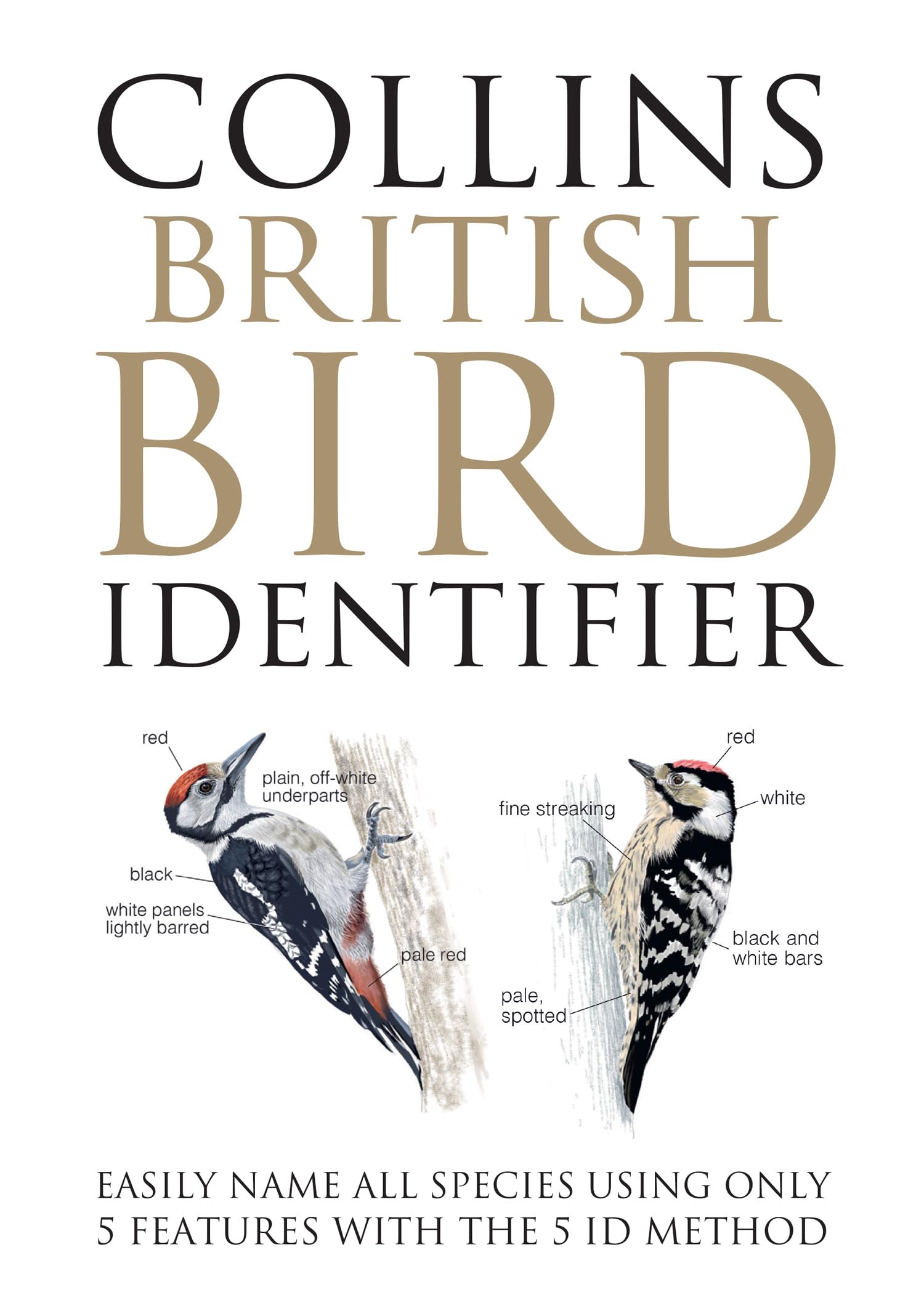Collins British Bird Identifier: A revolution in bird identification