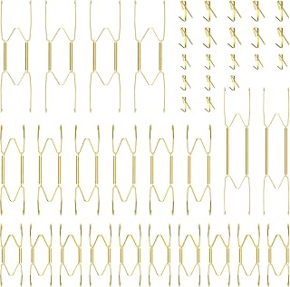 Hotop 20 Pcs Invisible Wall Plate Hangers 4-10 Inch with Hooks,Gold | Stainless Steel Holders for Antique Decorative Plates, Vintage Art Display, 20 Hook Nails Included, Invisible Design