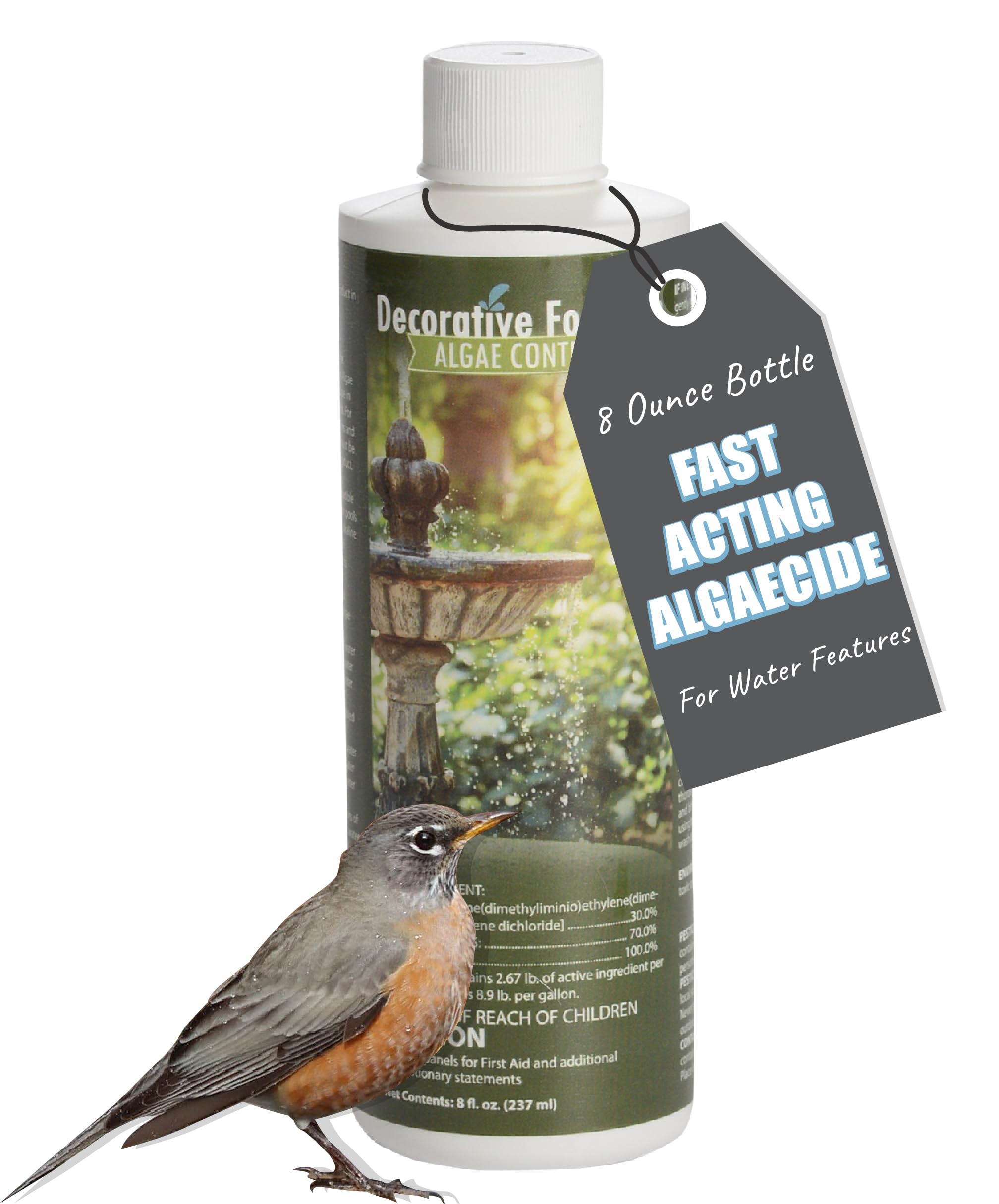 Fountain Algaecide and Clarifier - 8oz - Kills and Inhibits All Types of Algae G