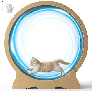 POLAHAKU Cat Wheel for Indoor Cats, 48 Inch Diameter Exercise Running Wheel | Enhanced Base, Safety Lock, Quiet, For Cat's Longer Life Fitness, Wide Surface, Low-Entry Design, Easy Assembly, Natural Wood