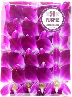 Miami Fresh Orchid Flower OrchidClub USA Sunne Tropical Loose Bloom DIY Lei, food & drink decoration (50 PURPLE)