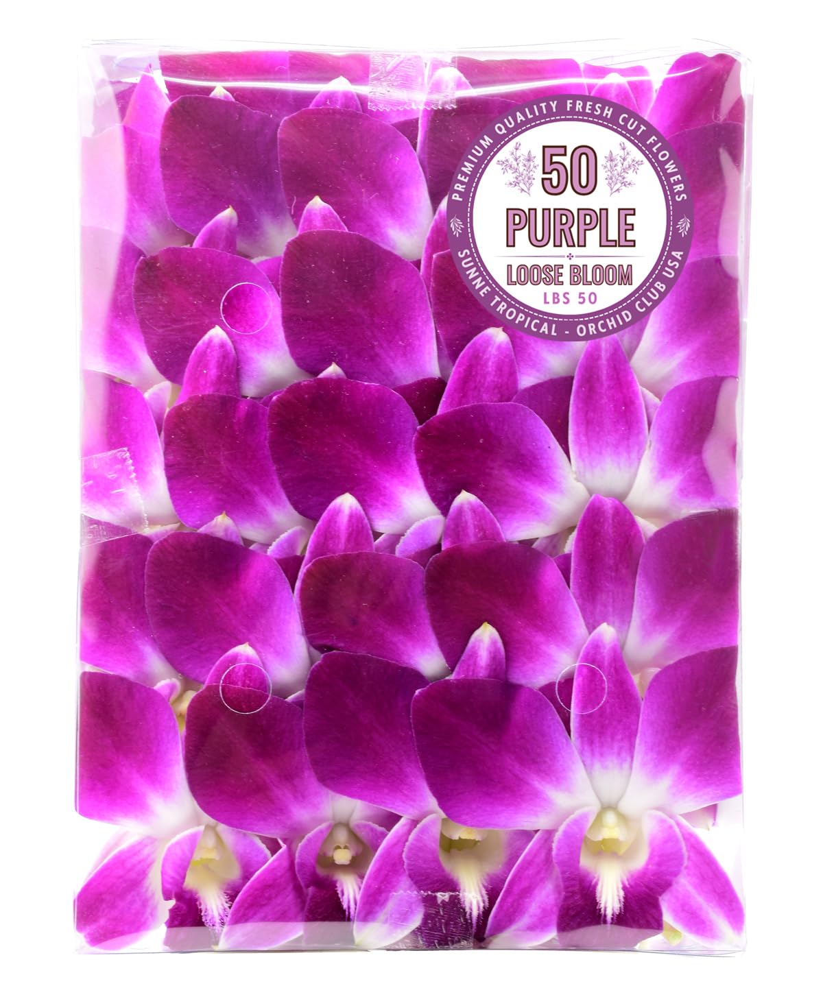 Miami Fresh Orchid Flower OrchidClub USA Sunne Tropical Loose Bloom DIY Lei, foo