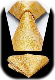 HISDERN Cravate Homme Paisley Cravates en Soie pour Hommes Mariage Cravatte et Pochette Set
