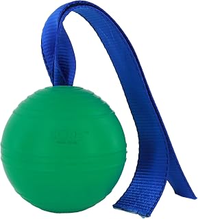 PetKORE KoreFlex Ball & Tail - Durable Horse Toy & Equine Enrichment Ball | Toss and Bounce Rubber Horse Play Toy with Shape-Retaining Technology, Durable Tails, and Treat Stuffing Center, Green