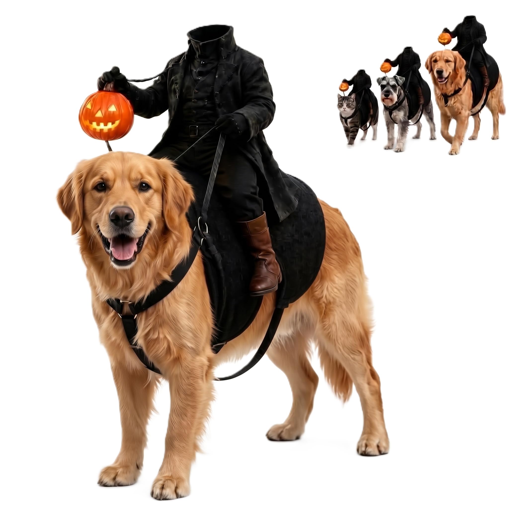 Light Up Headless Horseman Pet Costume for Dogs and Cats S/M/L (L) | Halloween P