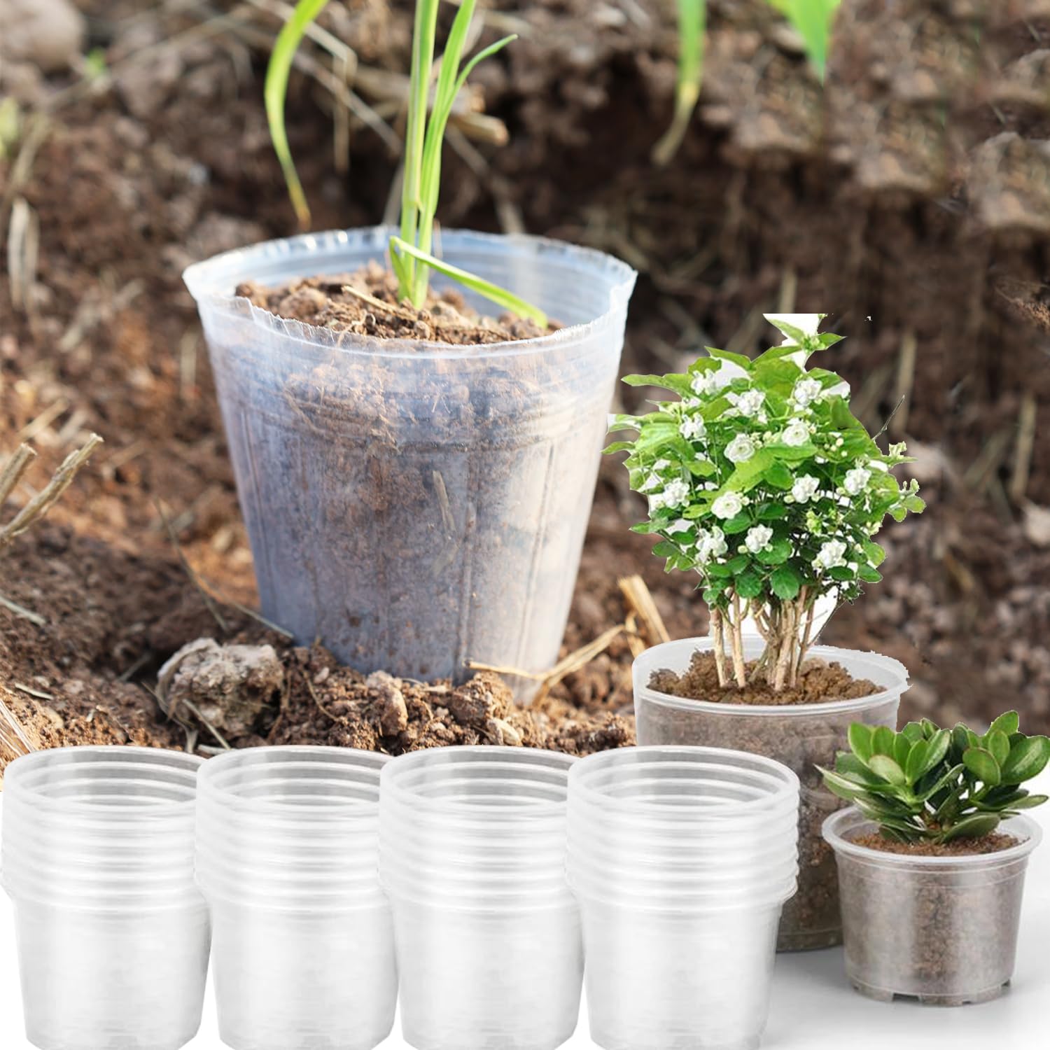 Set of 10 Clear Plant Pots Nursery Pots Seedling Pots Gardening Transplanting Ga