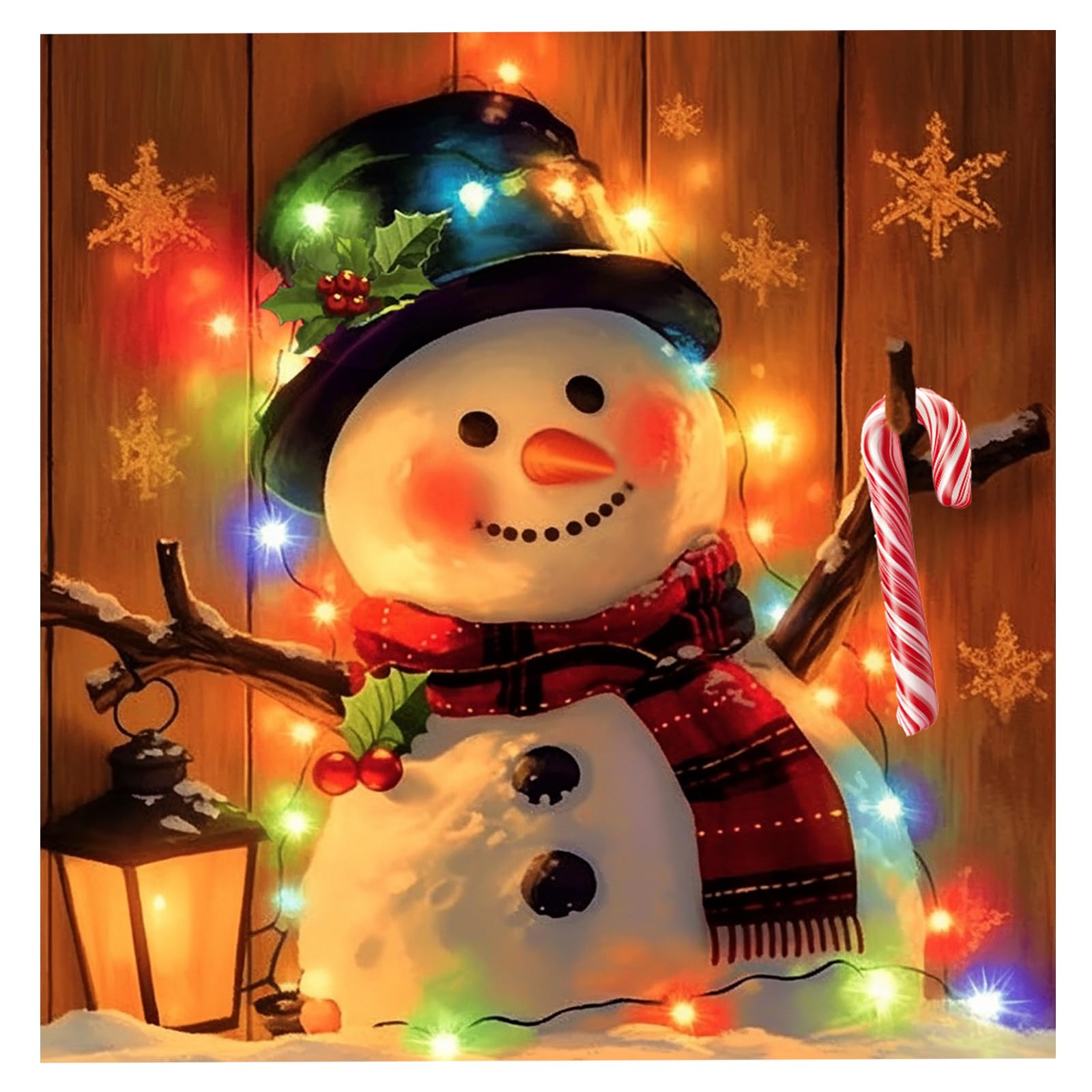 DIYDECORFUN Christmas Diamond Art Painting Kits for Adults Beginners,5D Snowman 