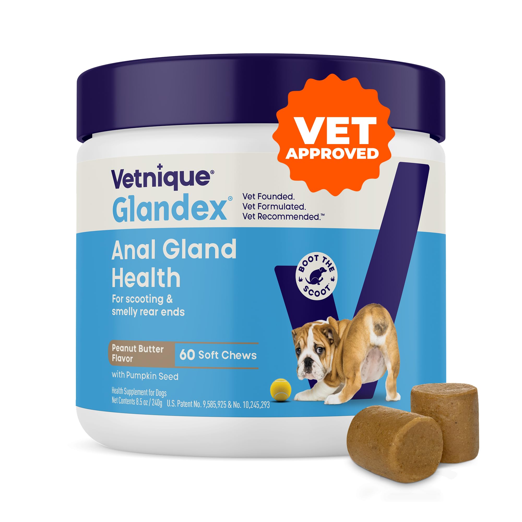 Vetnique Glandex for Dogs Anal Gland Chews 60ct Pumpkin + Digestive Enzymes | An