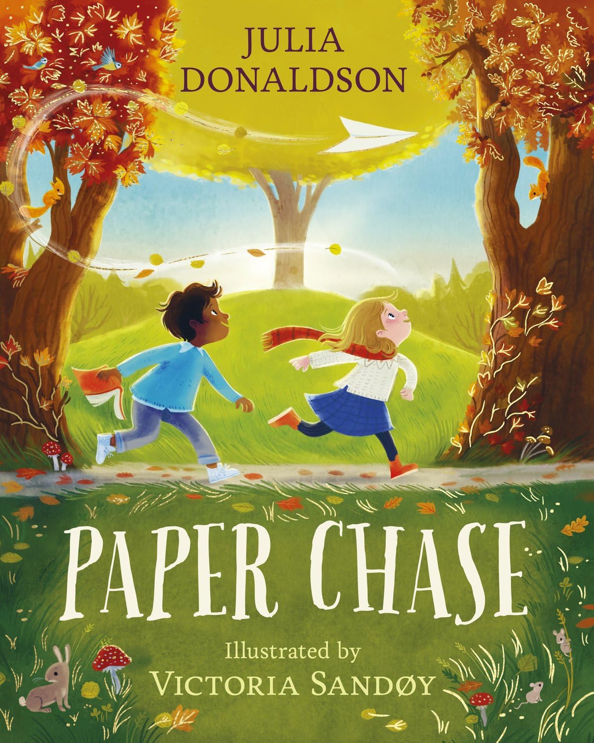 Paper Chase: a captivating story of friendship by Julia Donaldson, author of The