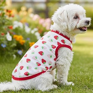Cute Pet Vest Strawberry Pattern Shirt Sleeveless Summer T-Shirt for Small Dog Cat Soft Lightweight Puppy Clothes (White, S)