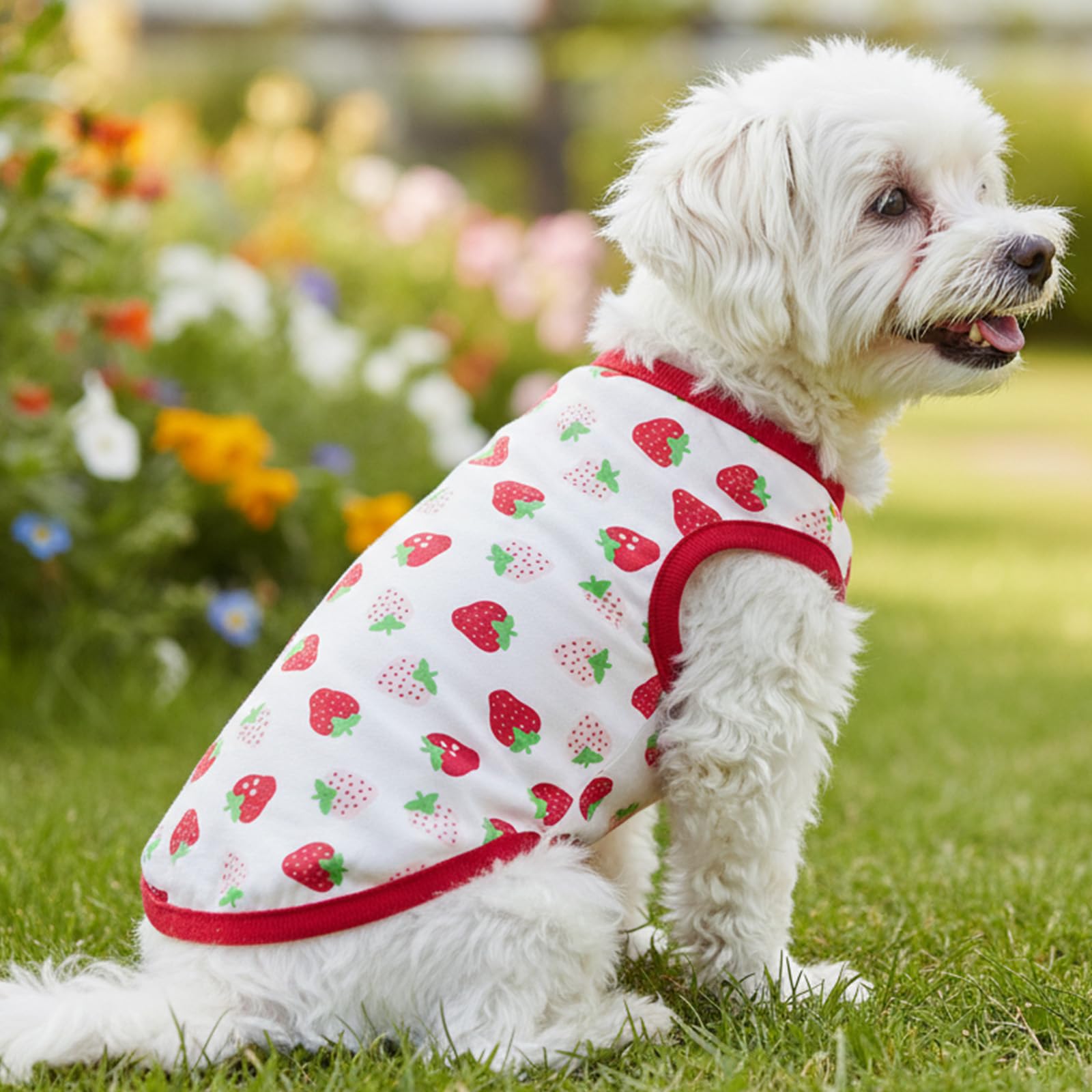 Cute Pet Vest Strawberry Pattern Shirt Sleeveless Summer T-Shirt for Small Dog C