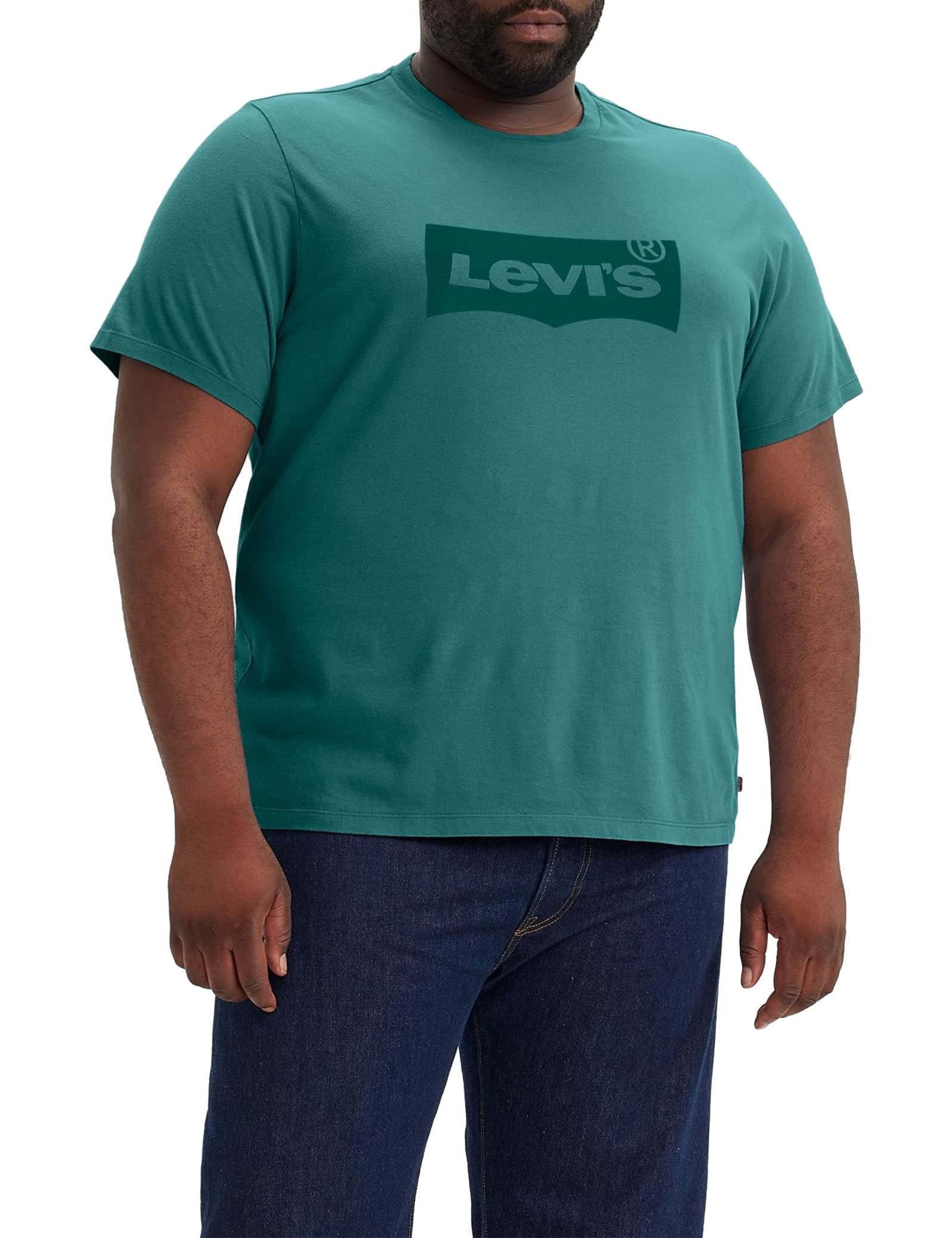 Levi's Men's B&T Big Graphic Tee T-Shirt