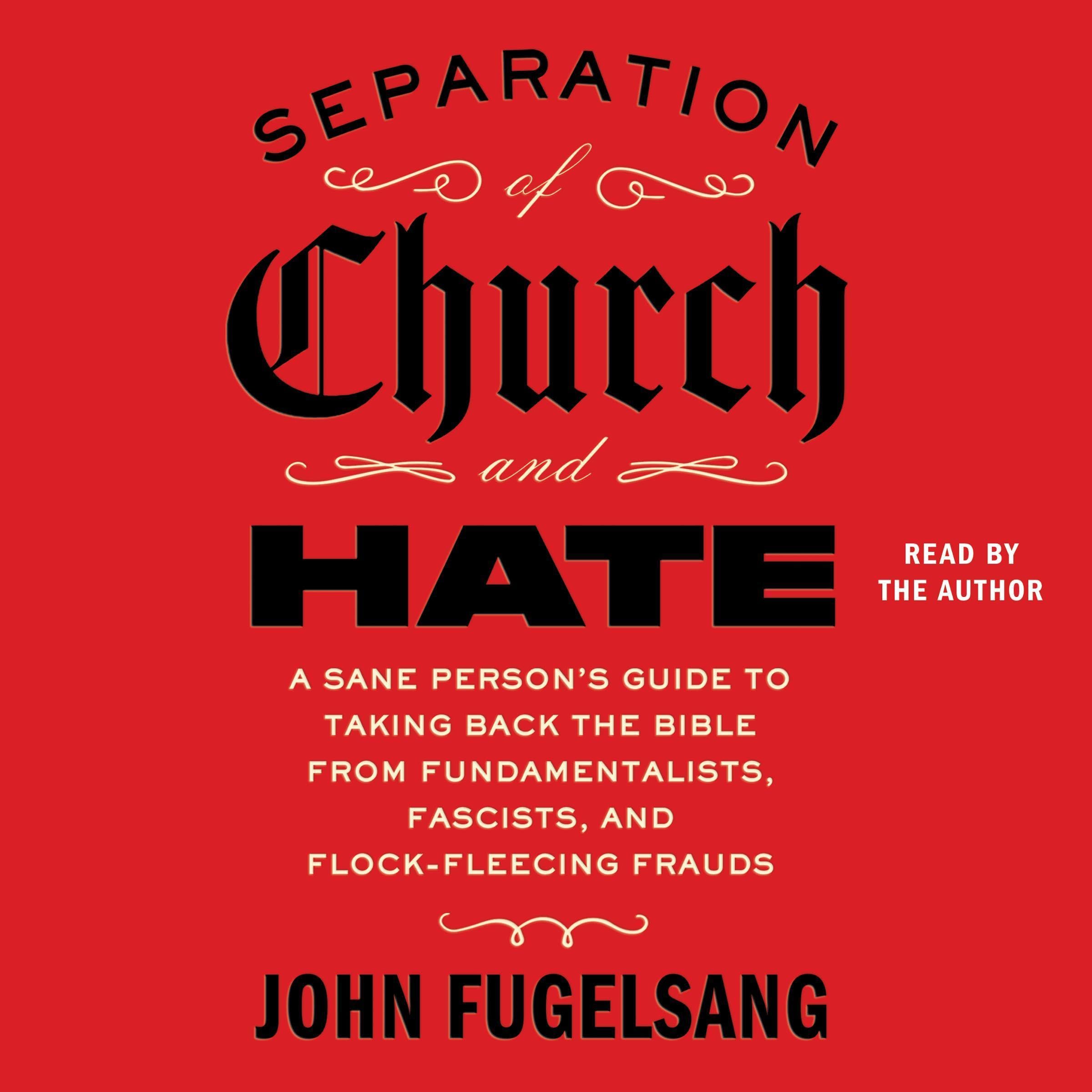 Separation of Church and Hate: A Sane Person's Guide to Taking Back the Bib