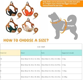 Cute Bear Dog Harness and Leash Set, Adjustable Breathable Pet Vest for Small Medium Dogs Cats Escape Proof with Safety Buckle for Outdoor Walking