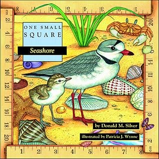 Seashore (One Small Square)
