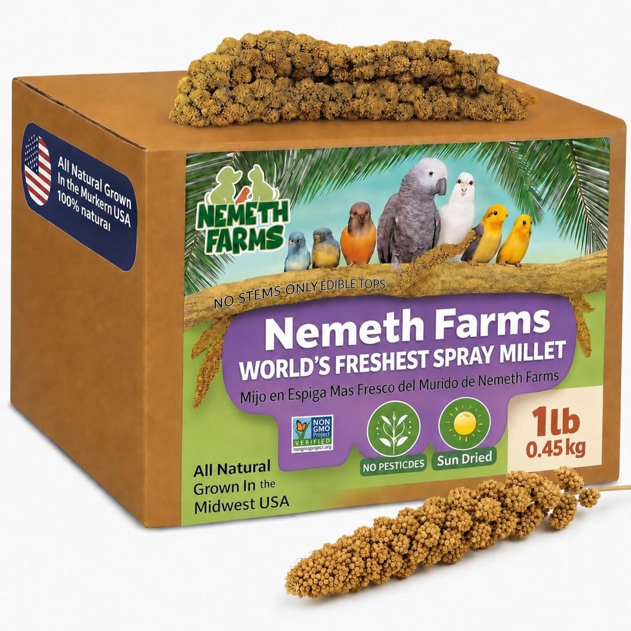 Nemeth Farms Spray Millet - Edible Tops Only, Non-GMO and Sun-Dried - 1 lb for P