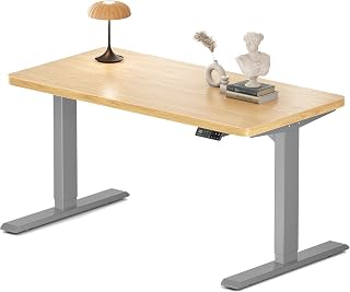 MAIDESITe S2 Pro Height Adjustable Desk 120 x 60 cm 2 Motors