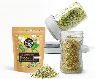 The Sprouting Company Jar Sprouting Kit with 8oz Broccoli Sprout Seeds | Sprouting Kit with Organic High-Glucoraphanin Broccoli Sprout Seeds, Wide Mouth Jar Kit with Stand & Stainless Steel Filter