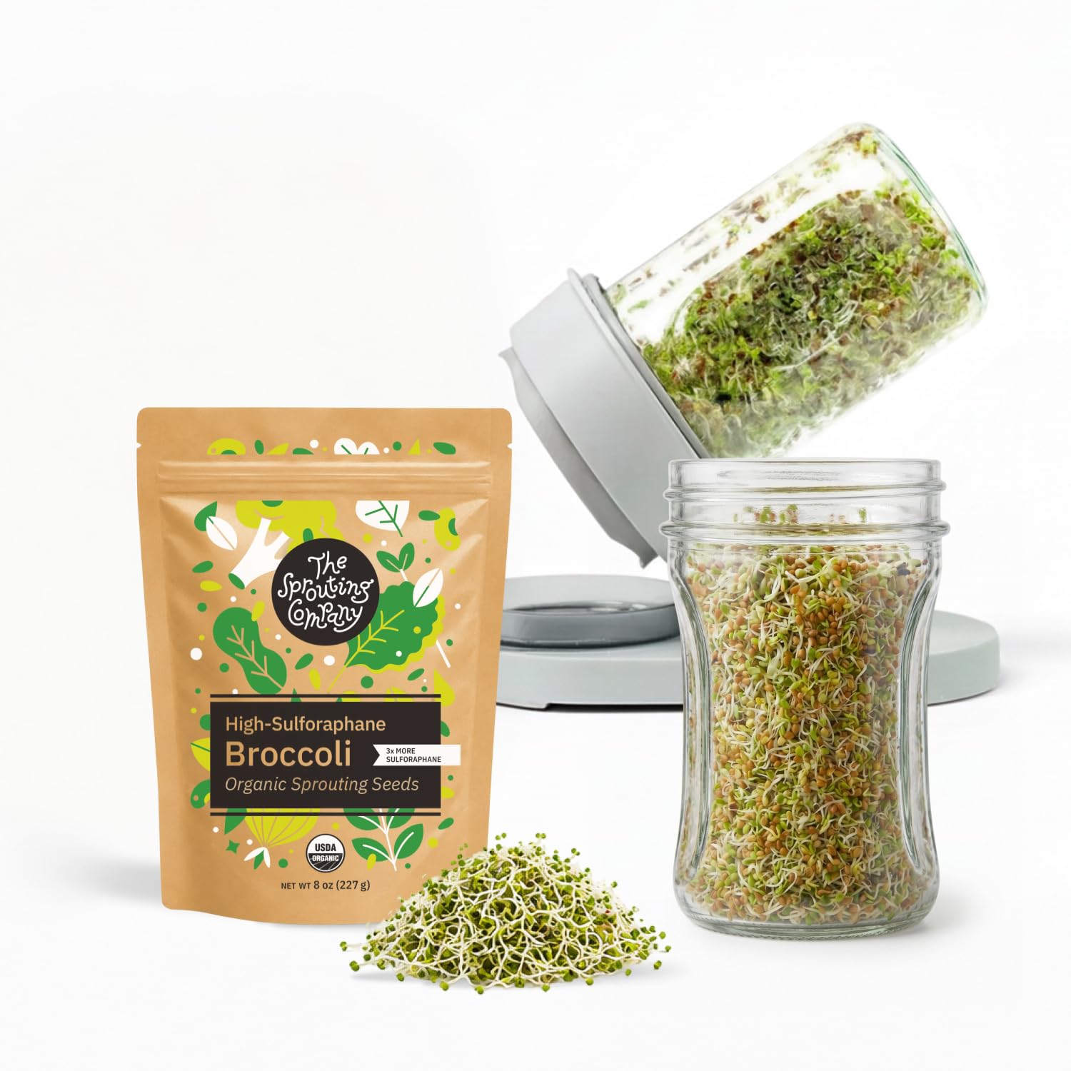 The Sprouting Company Jar Sprouting Kit with 8oz Broccoli Sprout Seeds | Sprouti