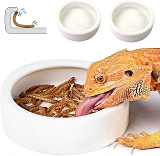 Reptile Food Dish Bowl 2Pcs Lizard Gecko Worm Water Bowls Small (2.75in) | Anti-escape Ceramic Mealworms Bowls for Leopard Bearded Dragon Chameleon Hermit Crab Dubia Cricket Feeding, Superworm Feeder