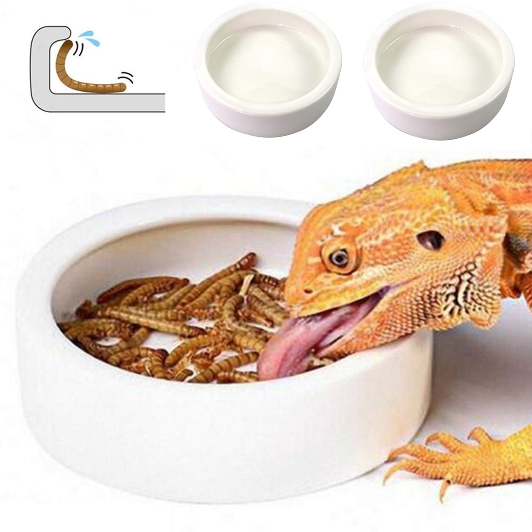 Reptile Food Dish Bowl 2Pcs Lizard Gecko Worm Water Bowls Small (2.75in) | Anti-