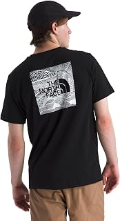 The North Face M S/S Box NSE Celebration Tee Men's T-Shirt (Pack of 1)